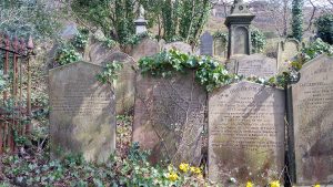 Wainsgate Chapel Hebden Bridge burial ground with nineteenth-centyr York stone headstones close together and covered in lichen and ivy